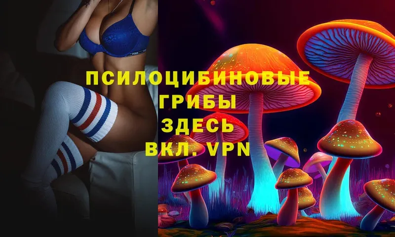 Галлюциногенные грибы Psilocybe  магазин    Воркута 